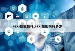 esxi装u盘影响性能吗?esxi网卡不直通速度有影响吗?