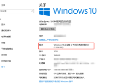 如何查看 Windows 10 神州网信政府版的版本信息