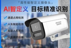 NVR 4.0Lite大升级 :人/车 一键“智搜”，找啥都快！