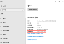 如何查看 Windows 10 神州网信政府版的版本信息