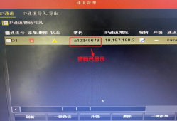 在海康威视硬盘录像机上查看IP通道摄像机的密码教程