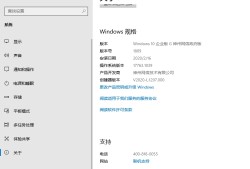 [搬运]Windows 10 神州网信政府版官方企业版 V2020-L 安装镜像（2020.2.13）