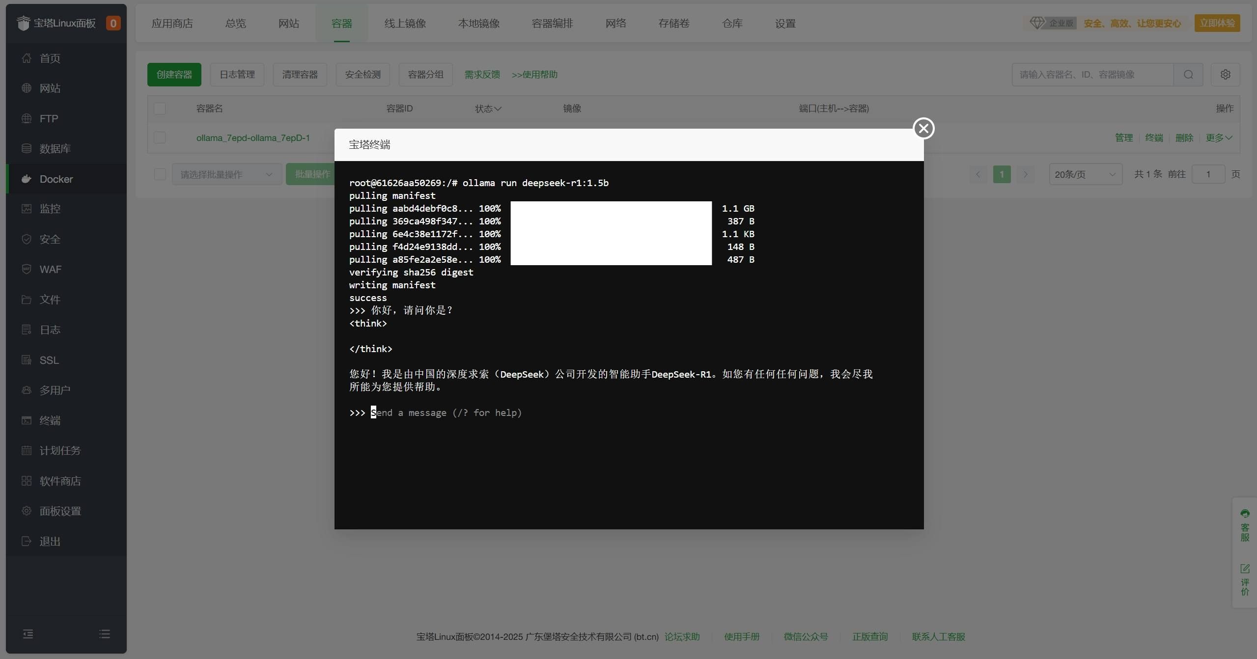 使用宝塔面板部署一个属于自己的 DeepSeek  第10张